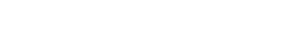 Festool logo Photoroom