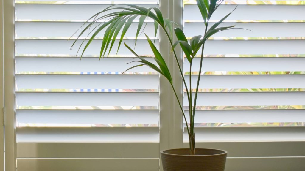 Window Treatments 