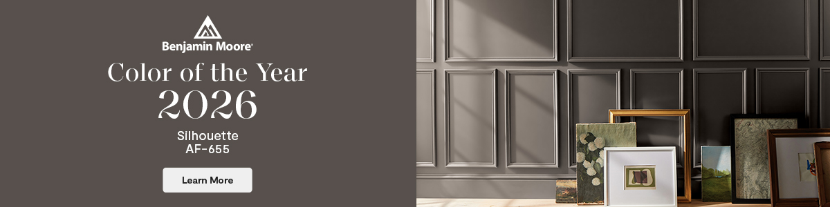 Color of the Year 2026