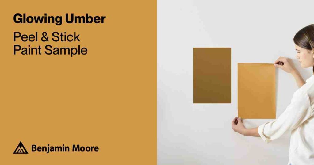 amber interiors paint colors